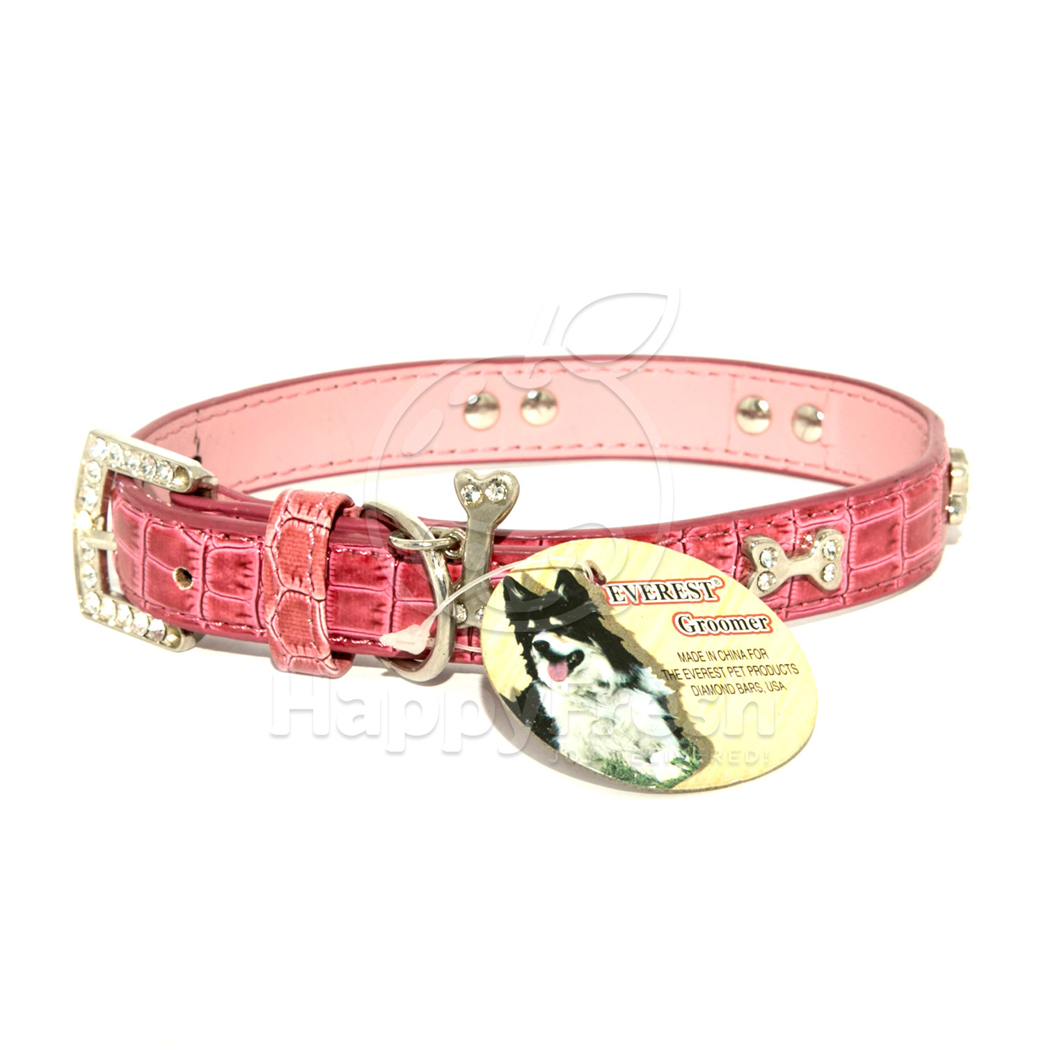 bull terrier everest