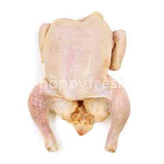 Antibiotic-Free Whole Chicken (Single Pack)