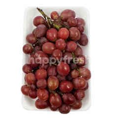 Red Seedless Grapes Jakarta Happyfresh