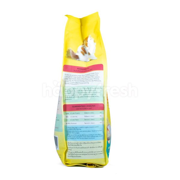 meo persian kitten food