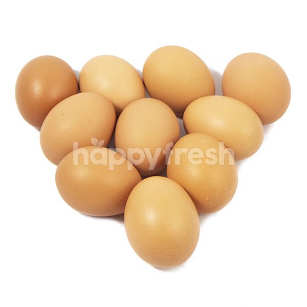 Product: Chicken Egg - Image 1