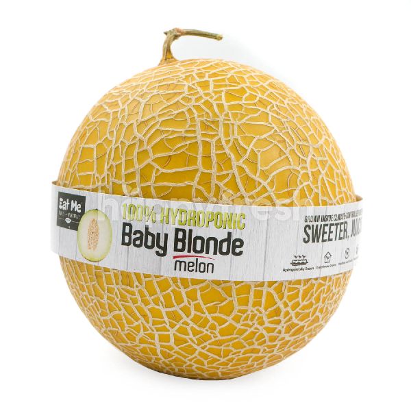 Jual Baby Blonde Melon Di Farmers Market Happyfresh Jakarta