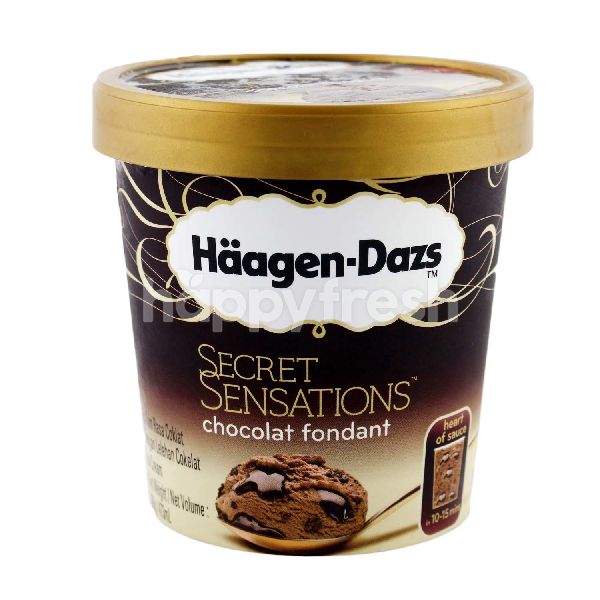 Beli HaagenDazs Secret Sensations Chocolat Fondant dari Isetan