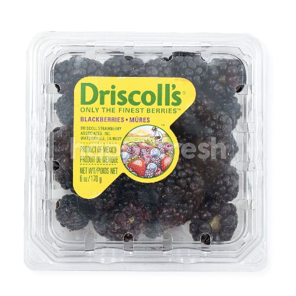 Jual Driscoll's USA Blackberry di Grand Lucky HappyFresh