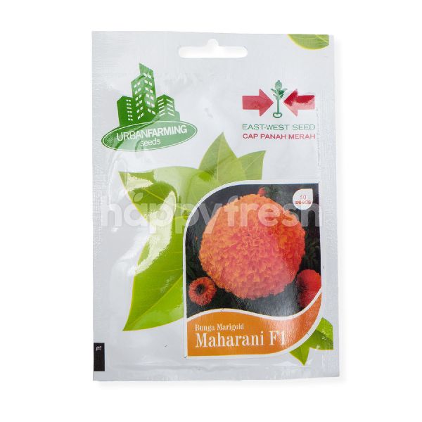 Jual Urban Farming Seeds Cap Panah Merah Maharani F1 Marigold Flower Seeds Di Super Indo Happyfresh Jakarta