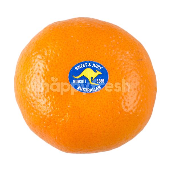 Jual Australian Honey Murcott Orange di Farmers Market - HappyFresh