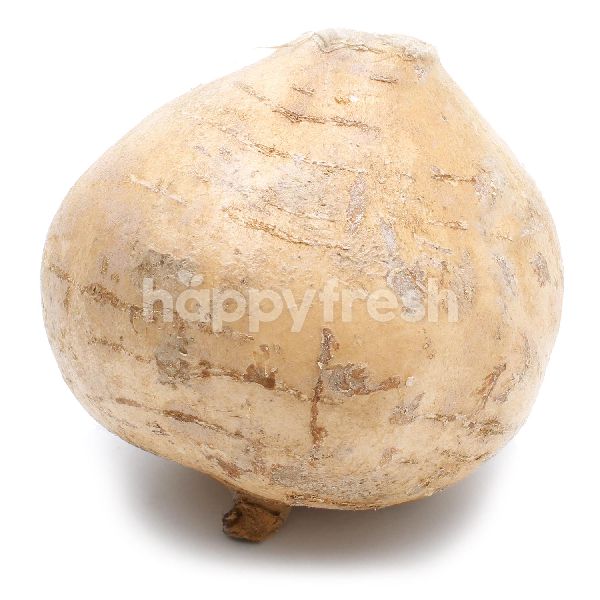 Beli Local Turnip Sengkuang Dari Selections Happyfresh