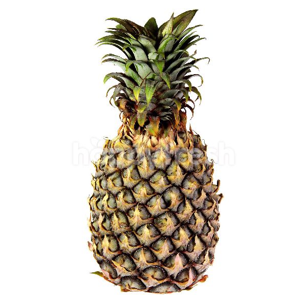 Rompine pineapple