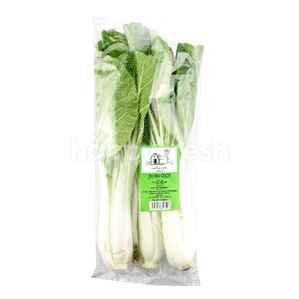 Beli Cameron Garden Tai Pak Choy Dari Aeon Maxvalu Prime Happyfresh Klang Valley
