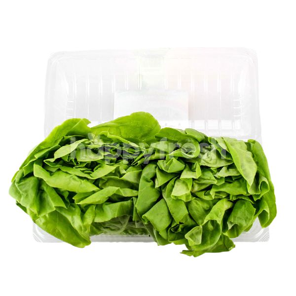 Beli CRUNCHY FRESH Baby Butterhead Lettuce dari AEON HappyFresh