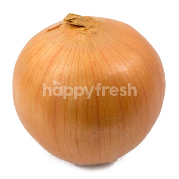 Product: Onion - Image 1