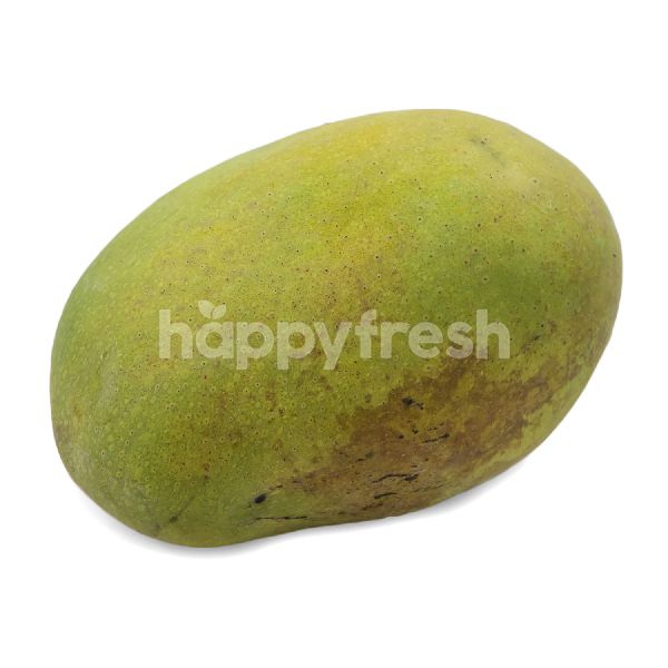 mango hm