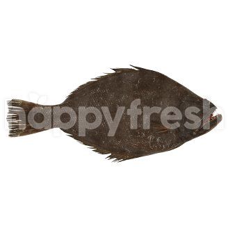 Beli Sole Fish Ikan Sebelah Dari Lotus S Happyfresh