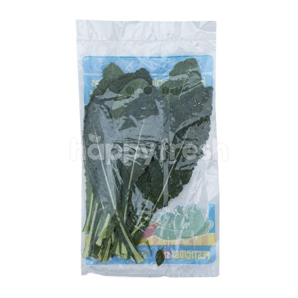 Product: King Fresh Farm Aeroponic Kale Narrow - Image 4