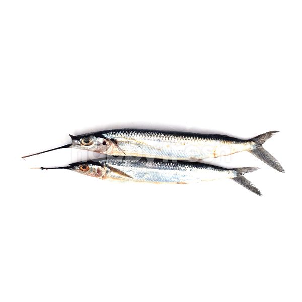 Jual Barracuda Fish Di Aeon Happyfresh