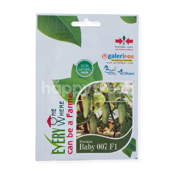 Jual Every One Where Baby 007 F1 Cucumber Seeds di Super ...