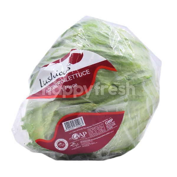 Beli Lushious LUSHIOUS Iceberg Lettuce dari AEON HappyFresh