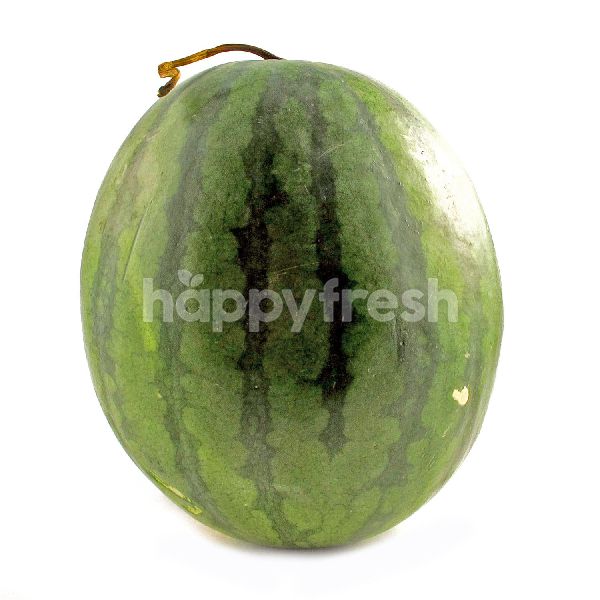 Product: Red Watermelon - Image 1