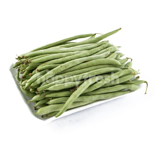 Product: Baby Bean - Image 1