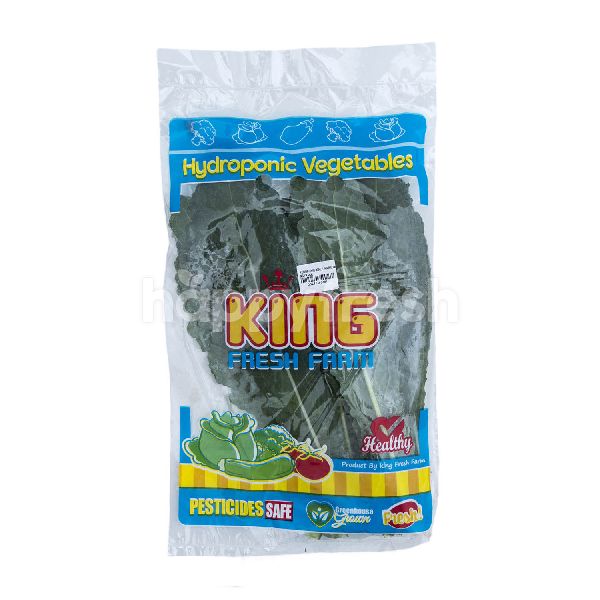 Product: King Fresh Farm Aeroponic Kale Narrow - Image 1