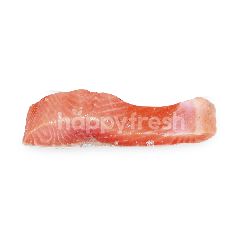 Fillet Ikan Salmon