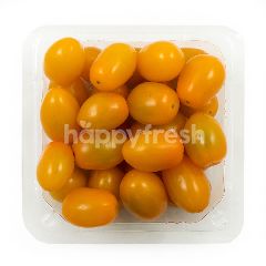 Tomat Cherry Kuning