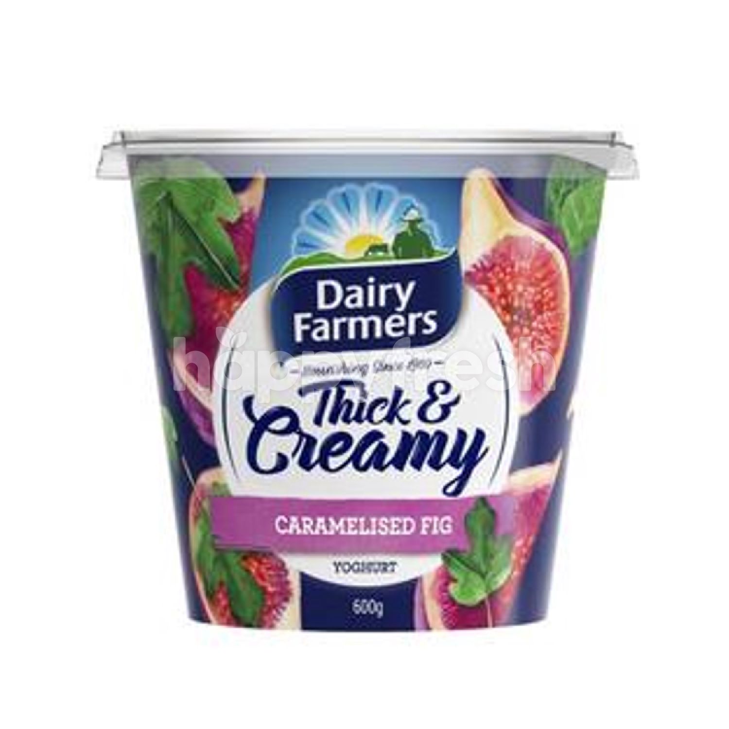Beli Dairy Farmers Thick & Creamy Caramelised Fig Yoghurt dari Mercato ...