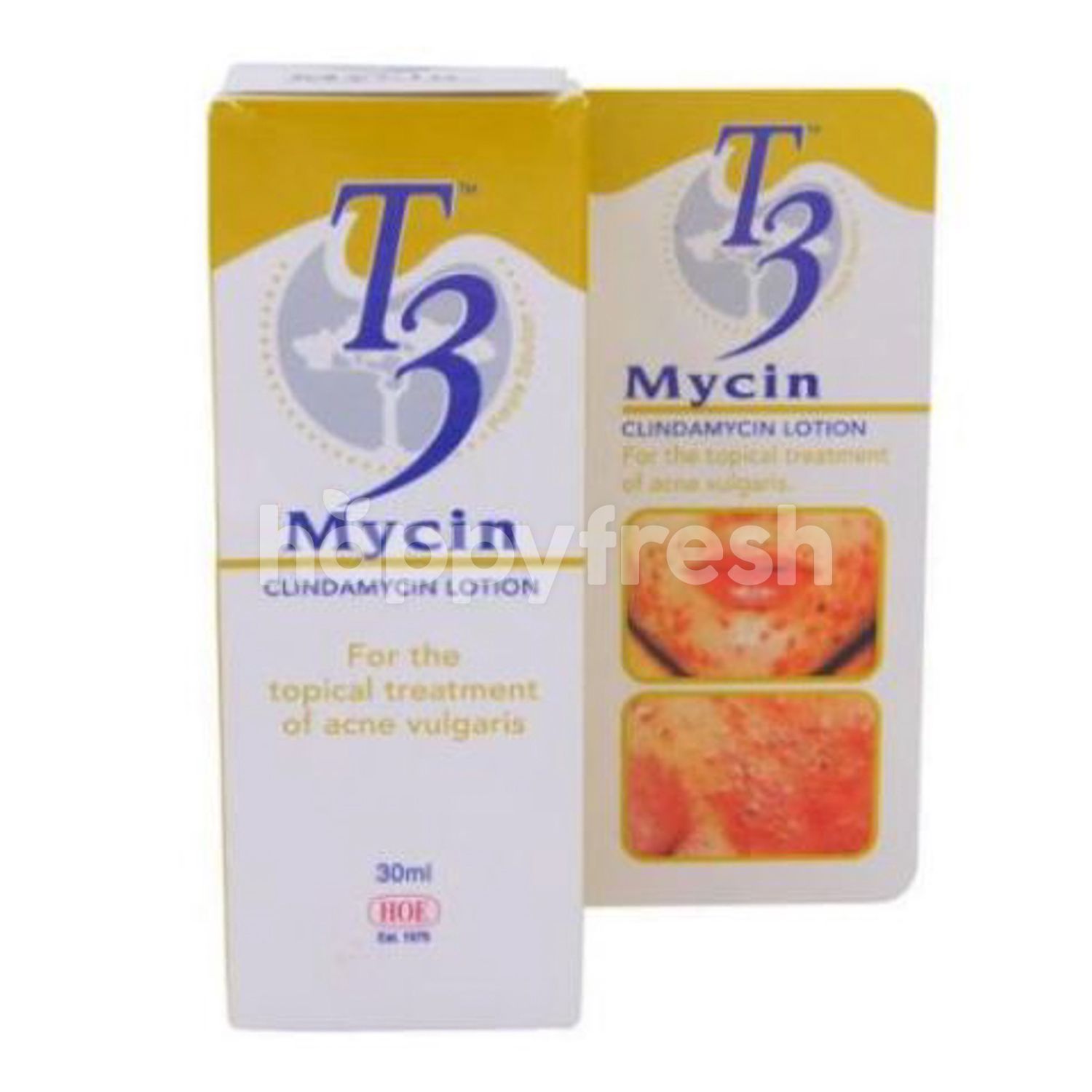 Diary Nie S Gallery Product Review T3 Mycin
