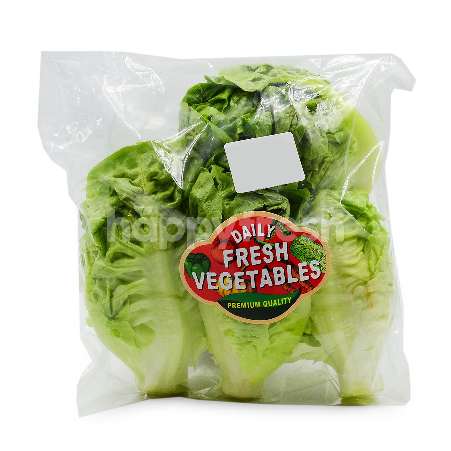 Tam choy Organic Cabbage
