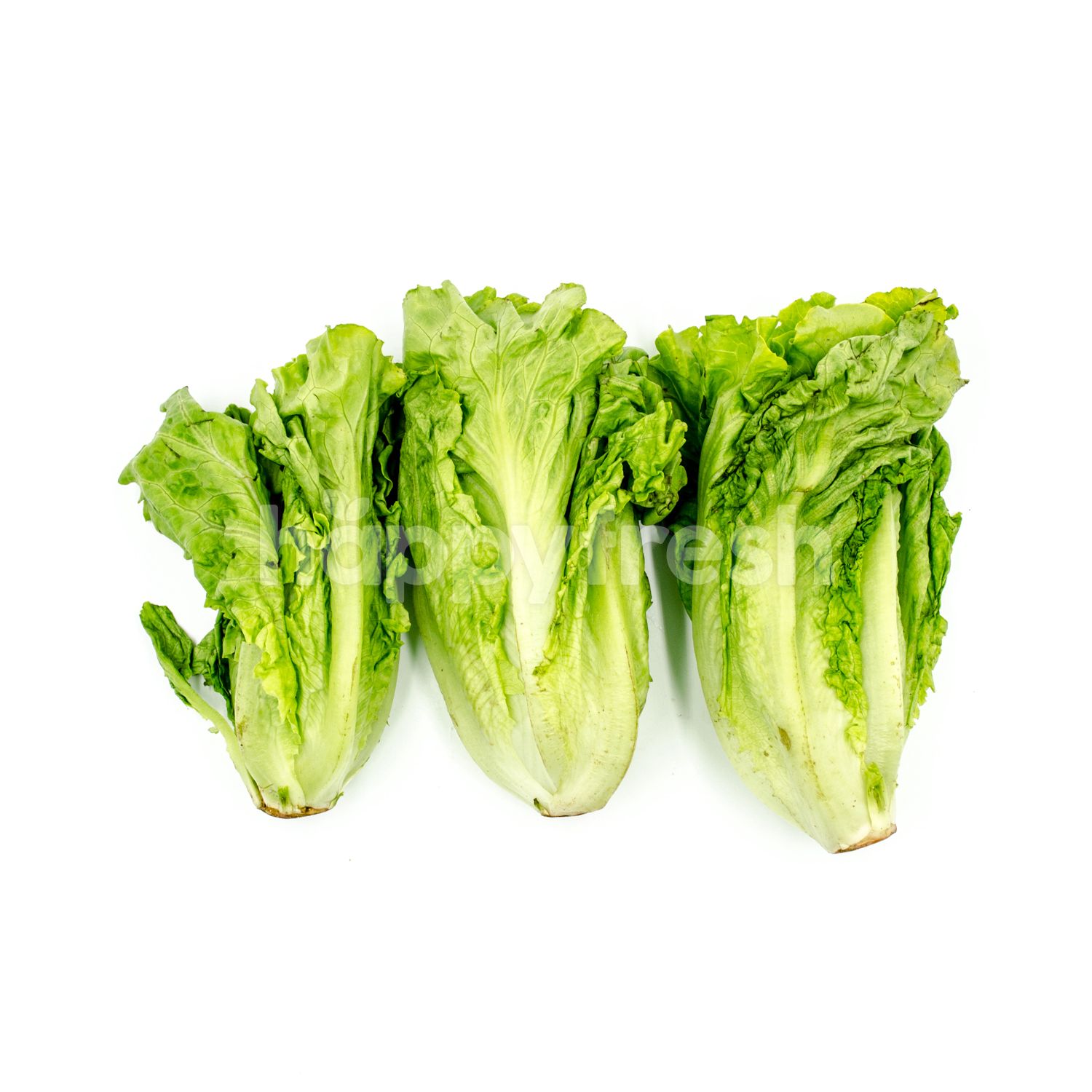 Beli Chinese Lettuce dari K Market HappyFresh
