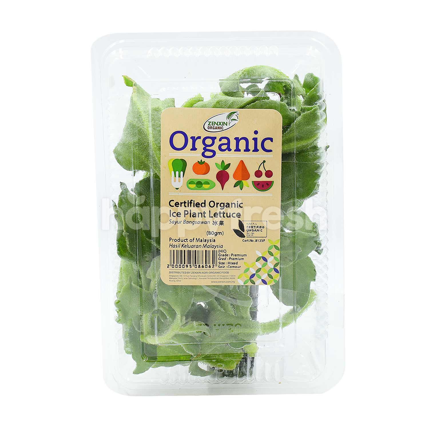 Beli Zenxin Organic Zenxin Organic Ice Plant Lettuce Dari Urbanfresh Marketplace Happyfresh Klang Valley