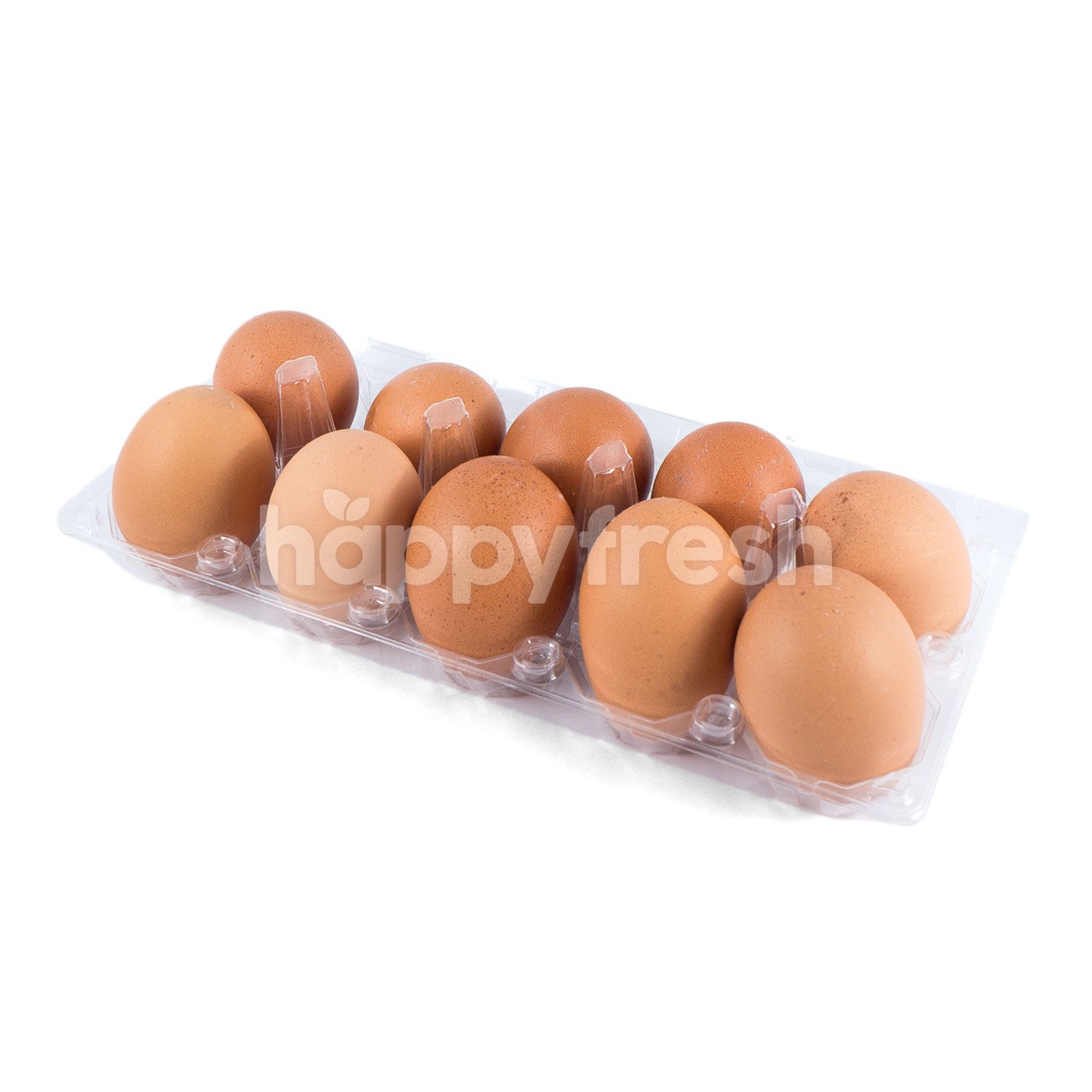 Jual Telur Prima Chicken Egg di Lotte Mart - HappyFresh | HappyFresh