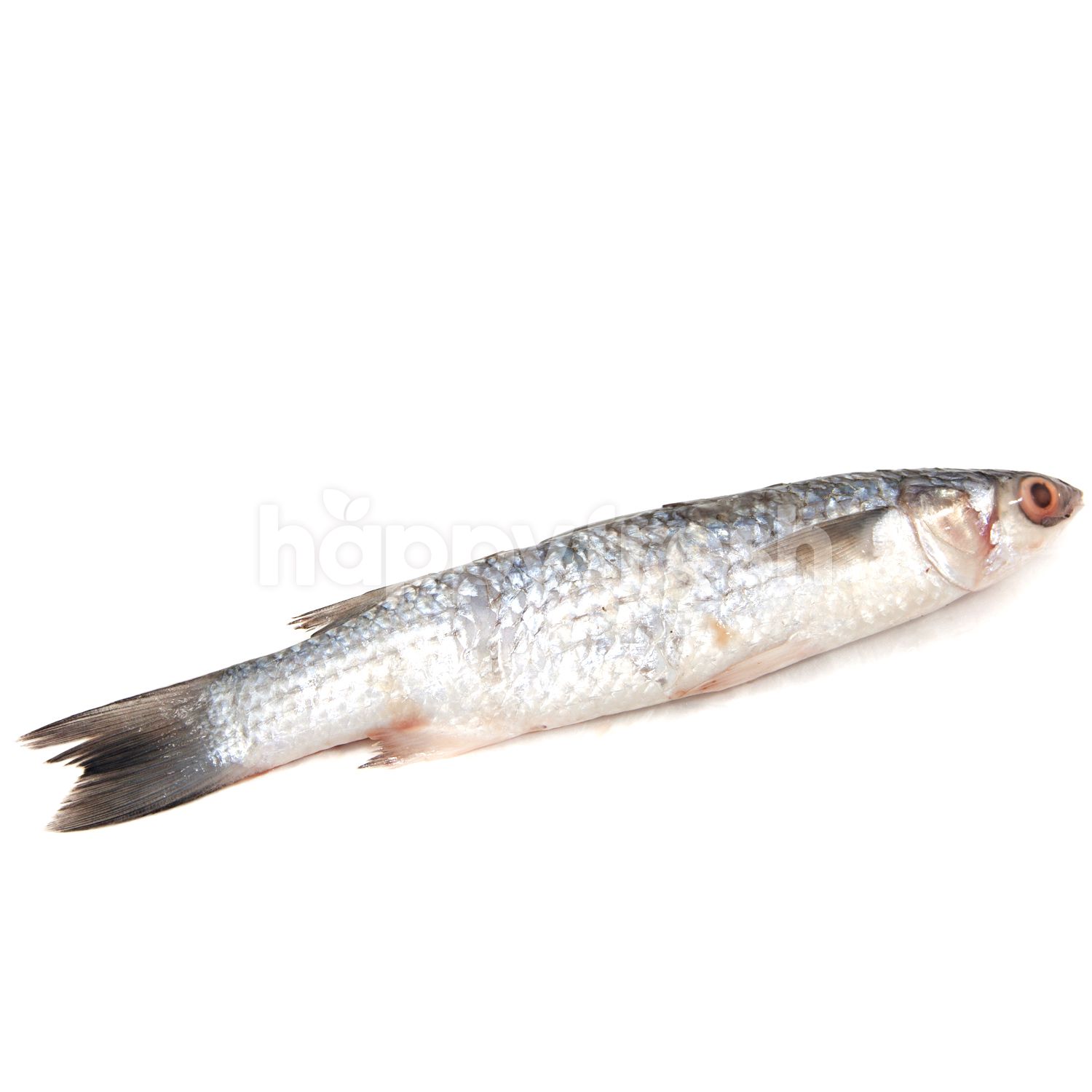 Jual Mullets Fish Di Super Indo Happyfresh