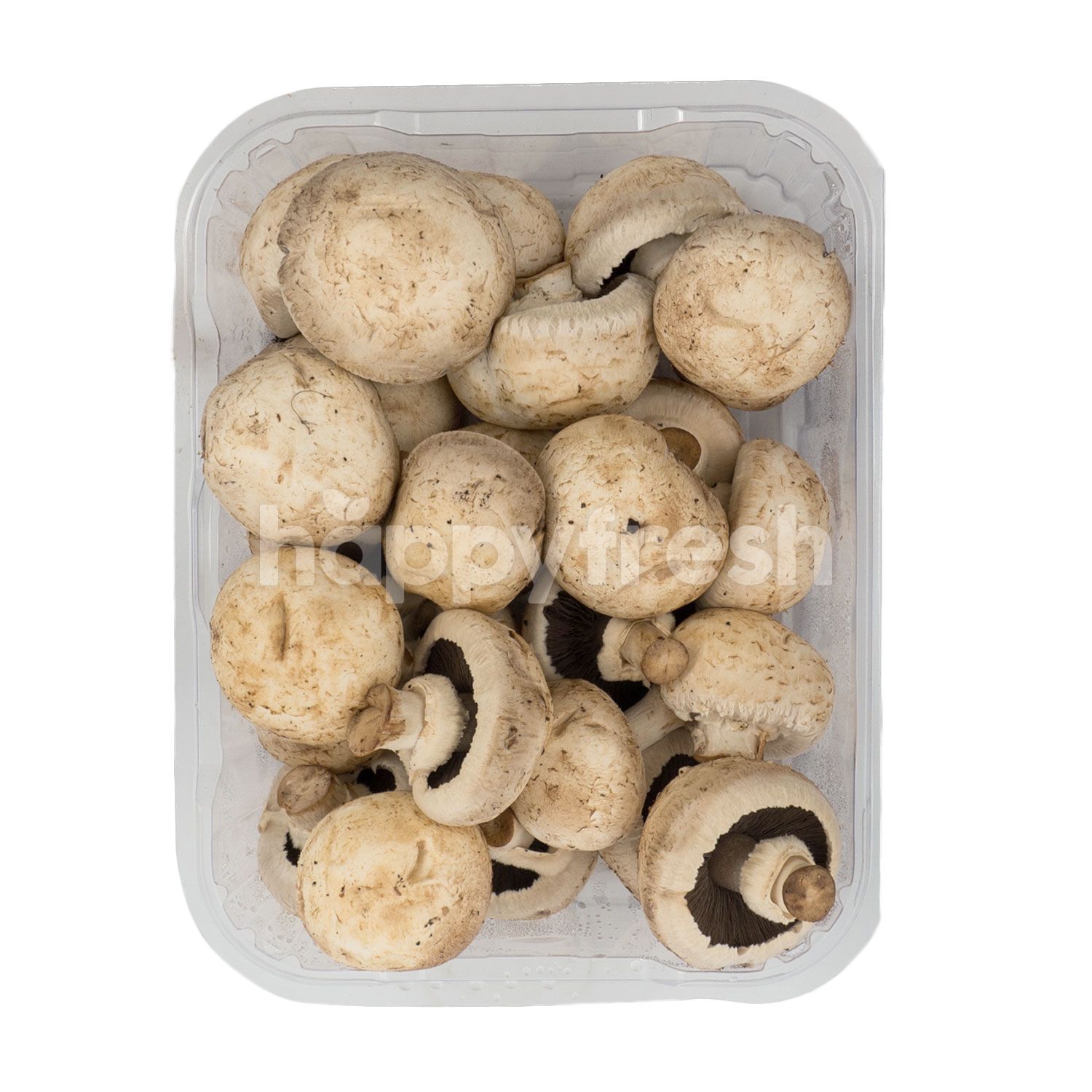 Jual Baby Champignon Mushrooms di Grand Lucky - HappyFresh
