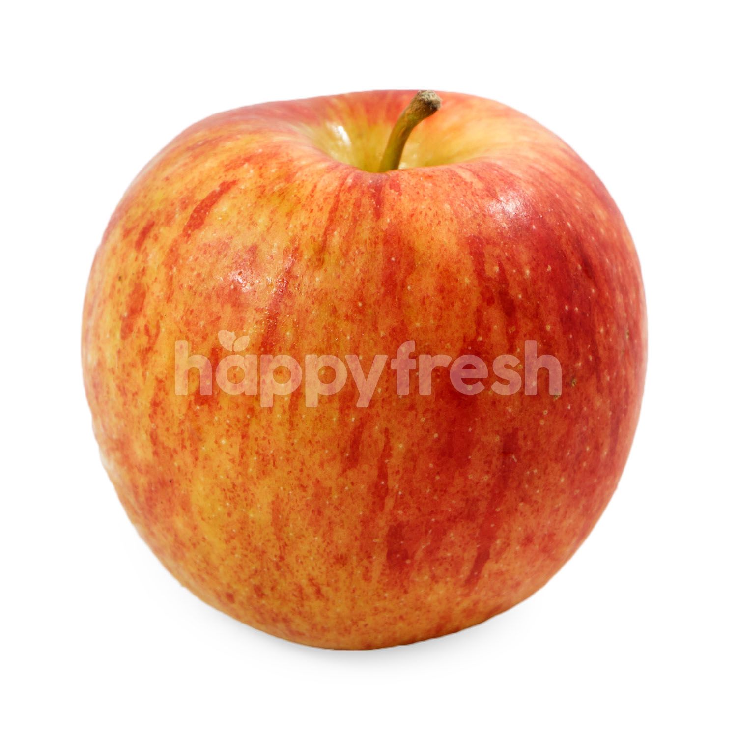 Jual New Zealand Envy Apple di Grand Lucky HappyFresh
