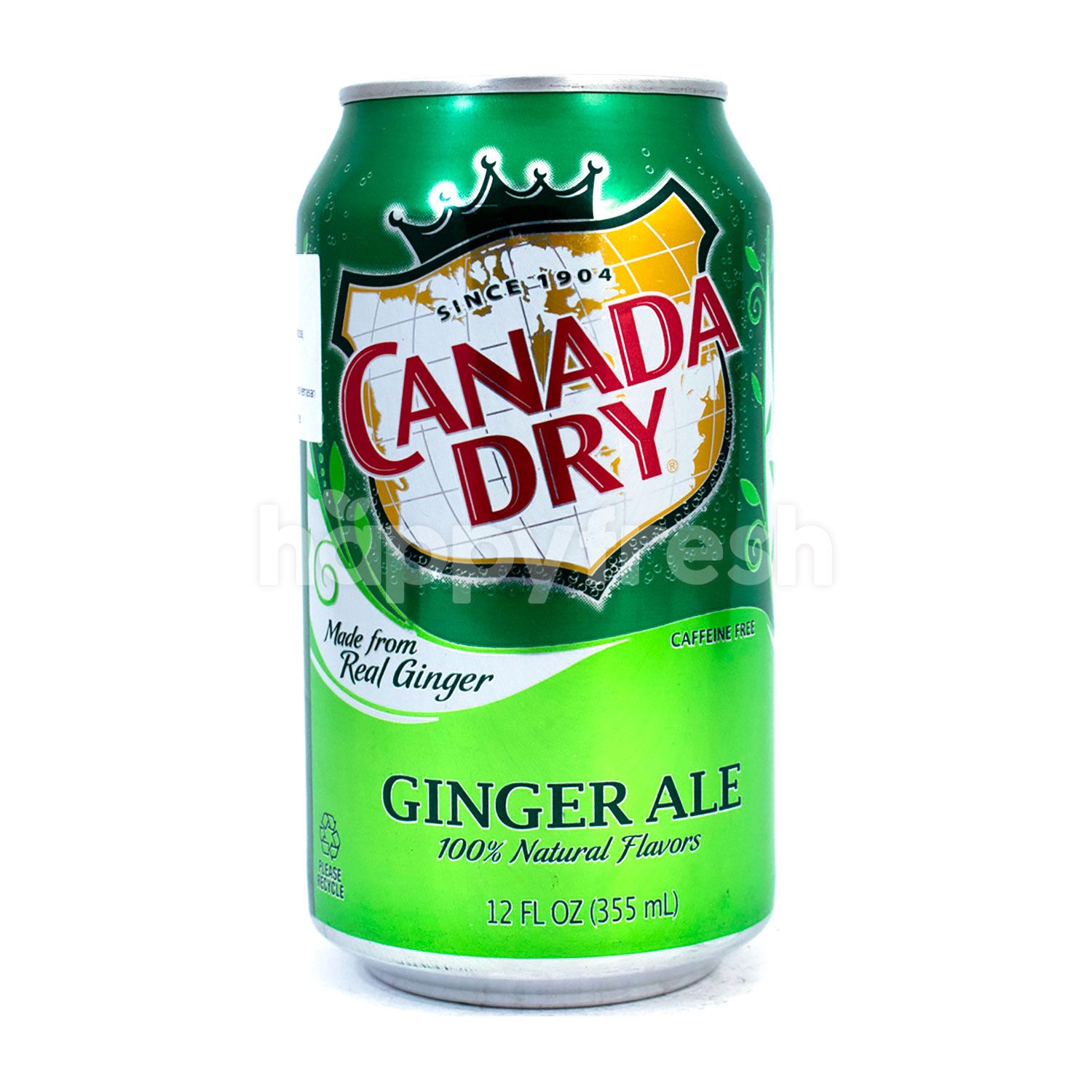 Jual Canada Dry Ginger Ale Drink with 100 Natural Flavors Soft Drink
