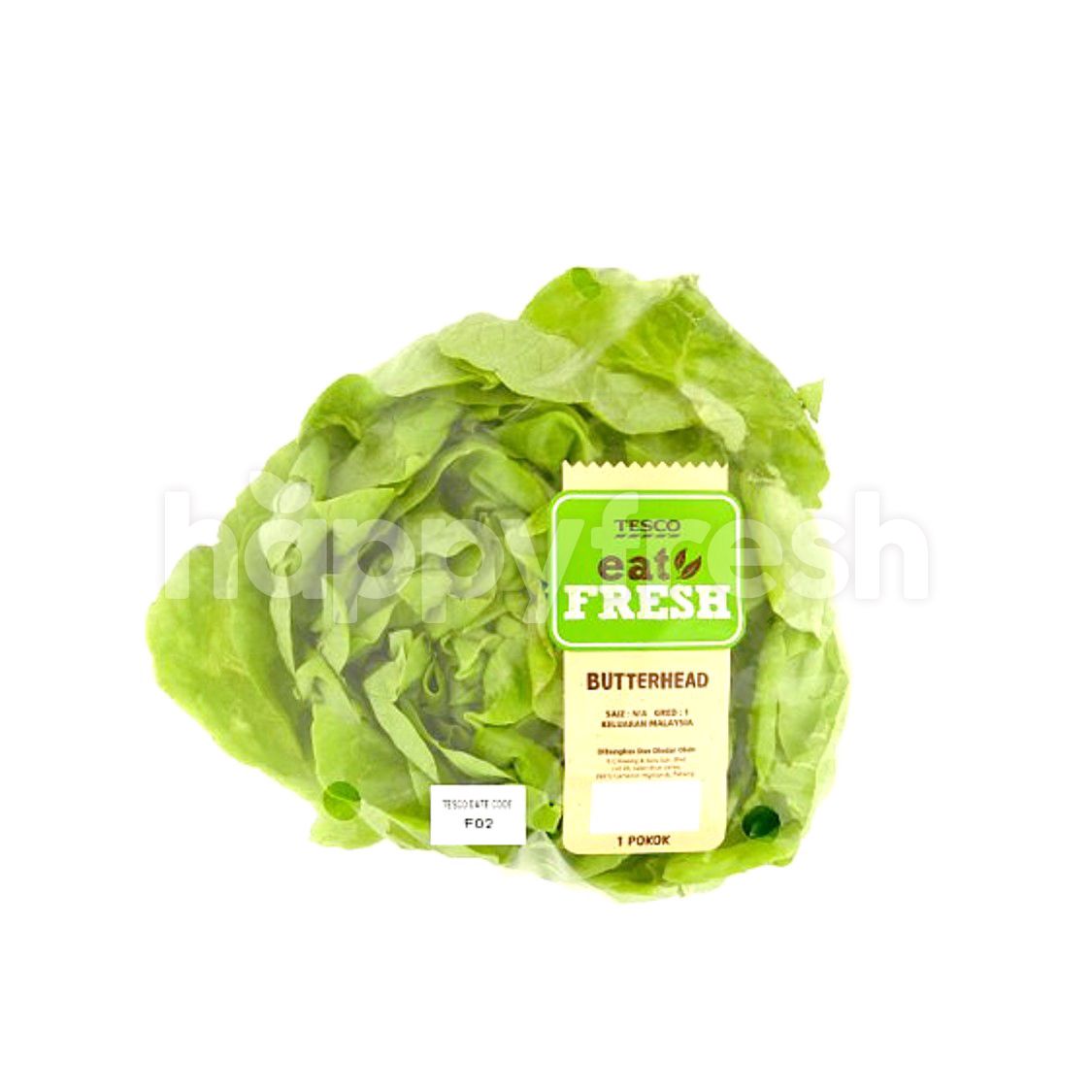 Beli Eat Fresh EAT FRESH Butterhead Lettuce dari Tesco HappyFresh