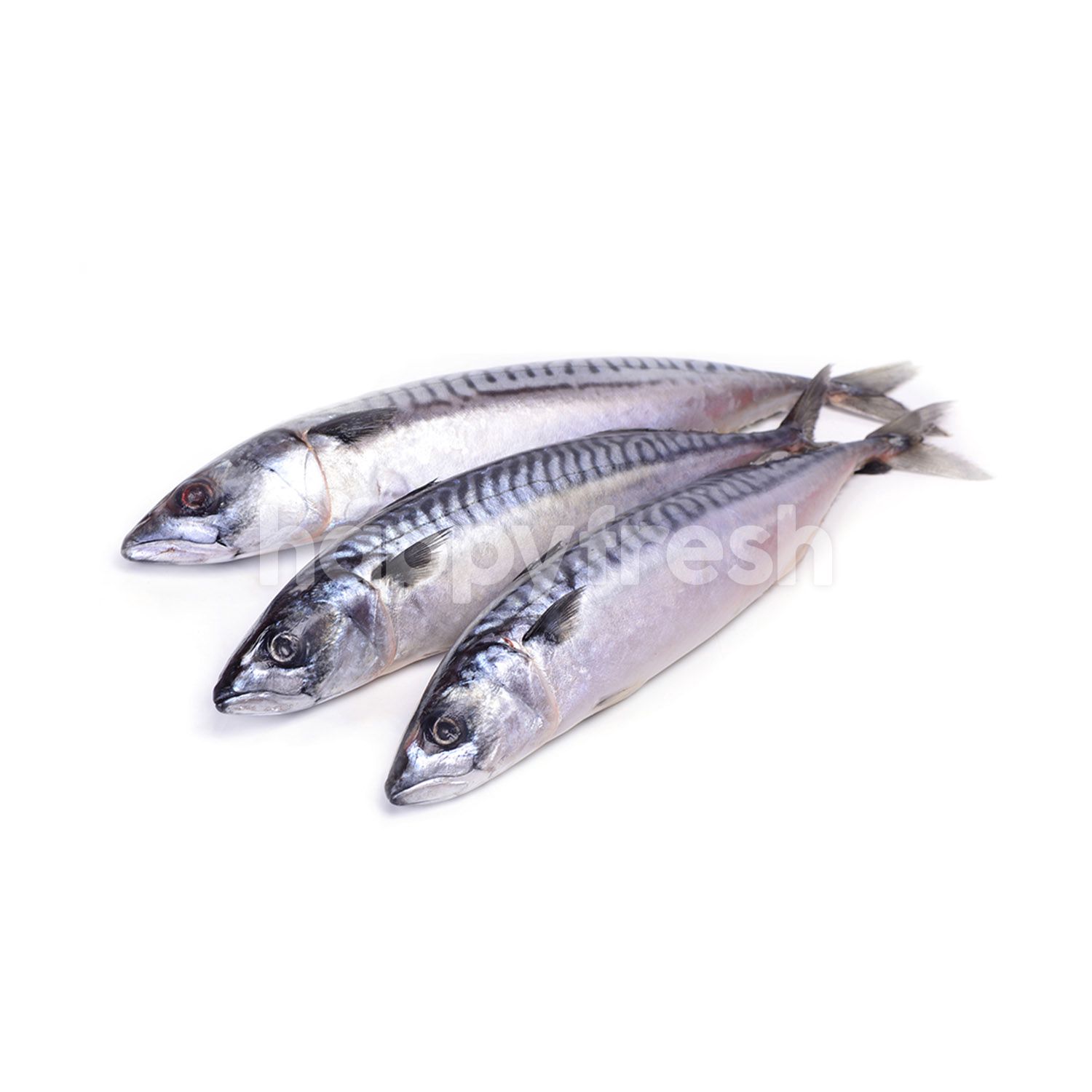 Beli Black Sardine Ikan Selayang Hitam Dari Tmc Bangsar Happyfresh