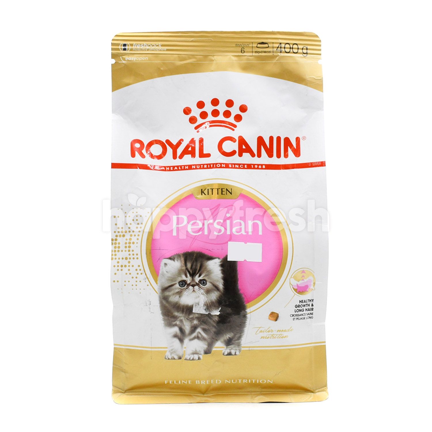 royal kitten persian
