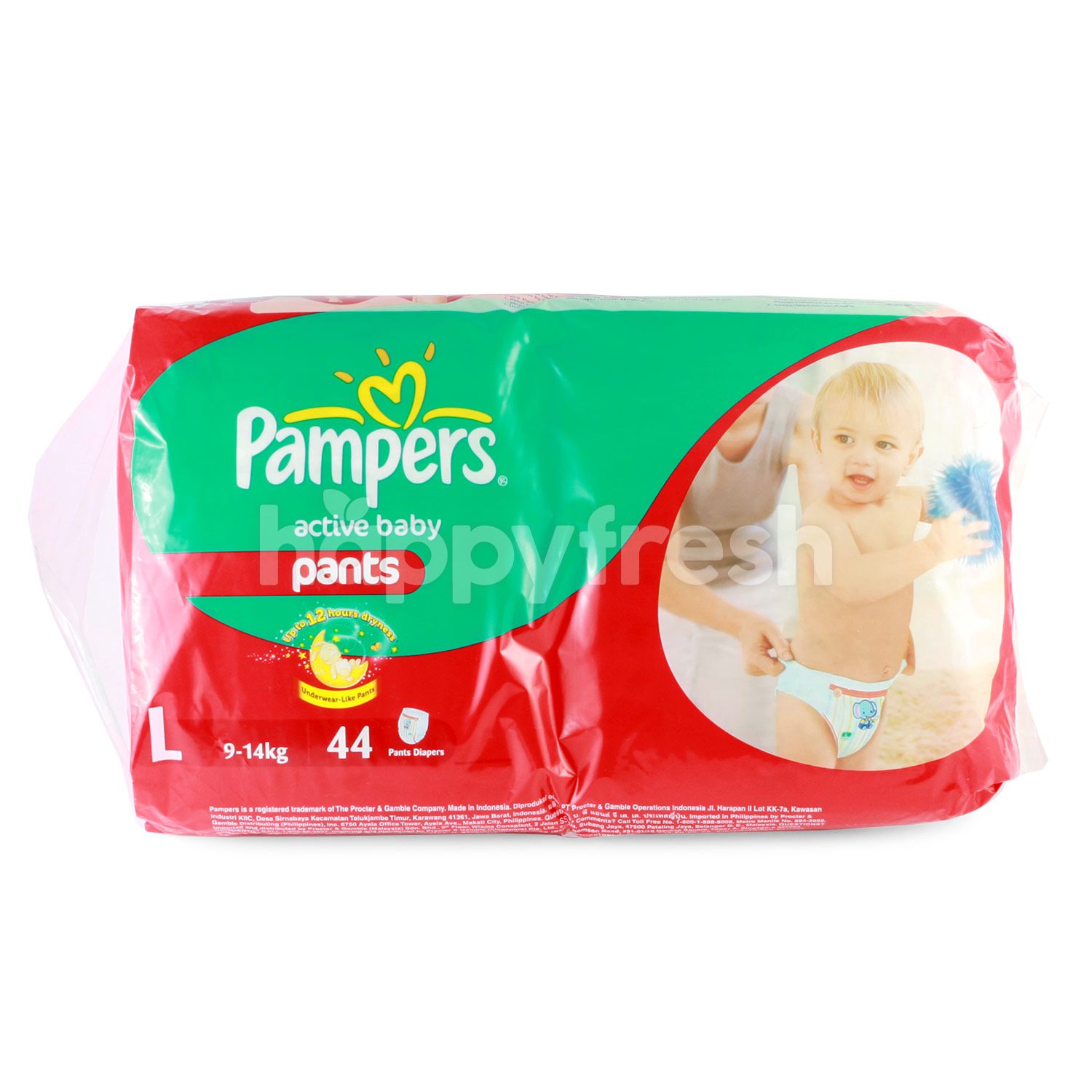 Jual Pampers Active Baby Pants Size L 